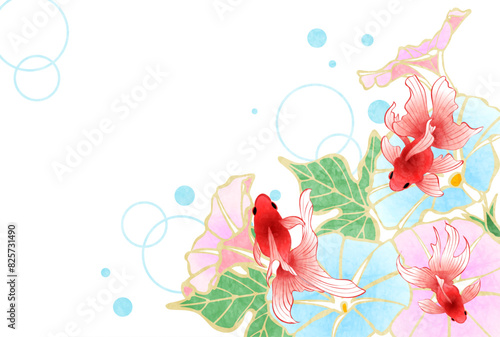 暑中見舞い、朝顔、琉金、横、イラスト