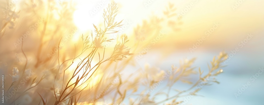 Golden sunrise over a tranquil grassy field. Golden sunrise over a tranquil grassy field.