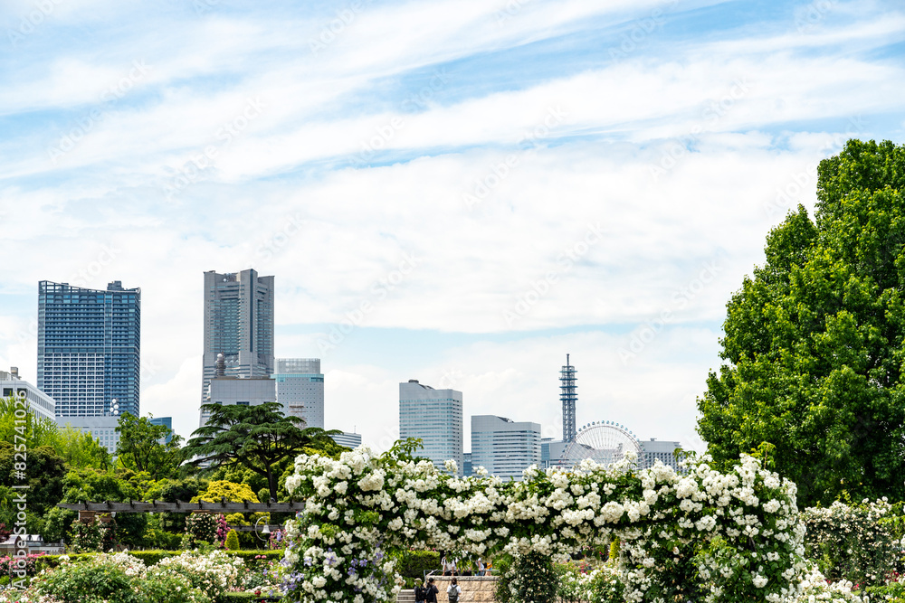 Fototapeta premium 5月の横浜の風景