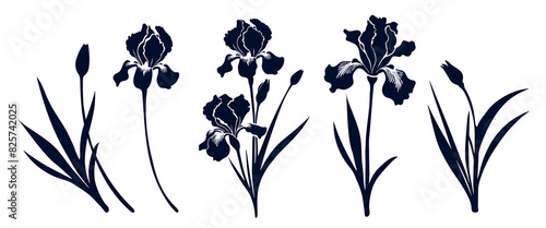 Set of iris flowers with leaves. Flower silhoutte. Vector illustration	