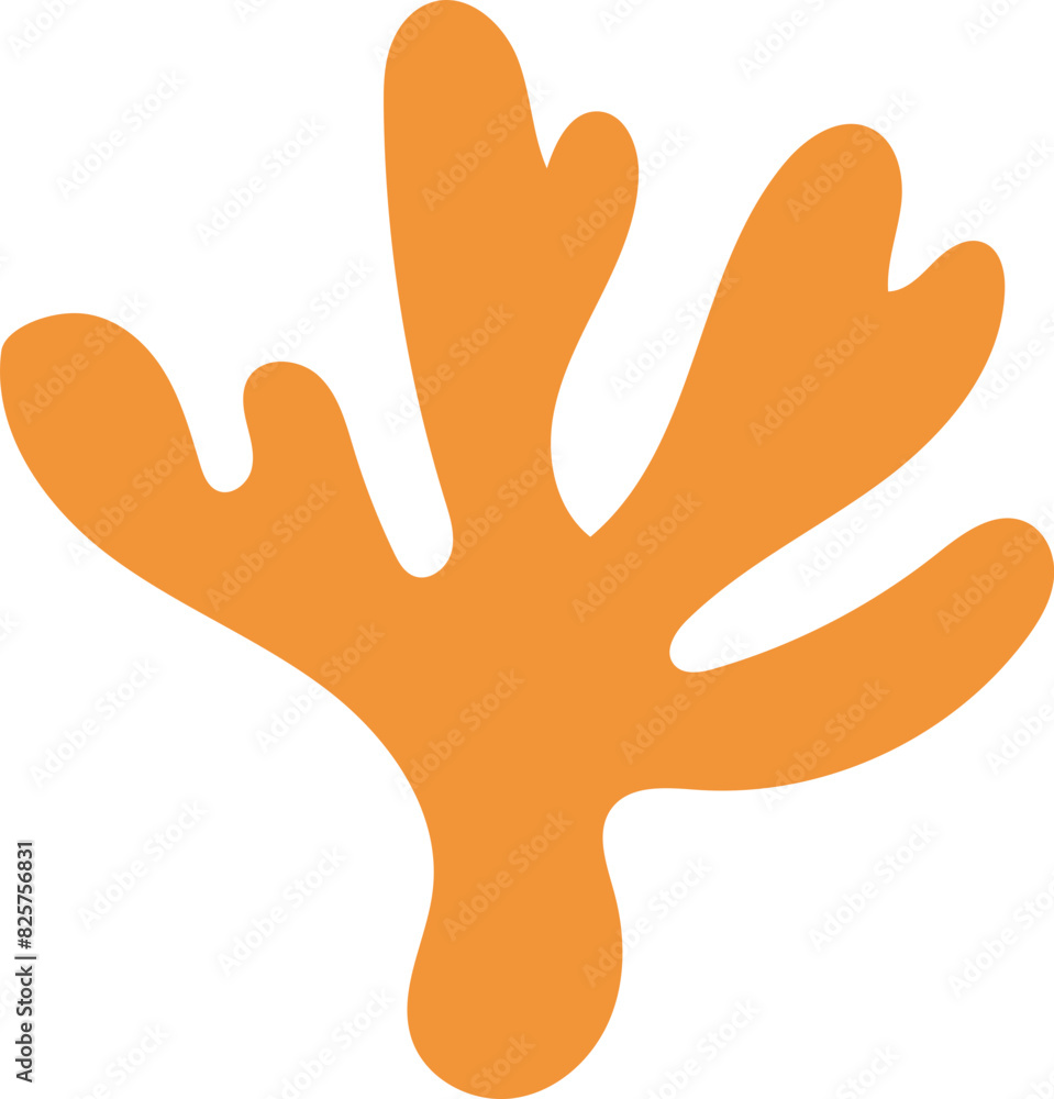 Obraz premium 산호초 Coral