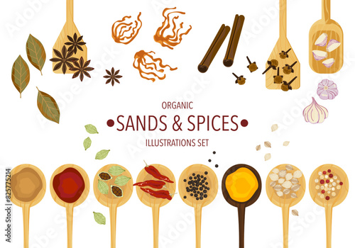 Selected herbs, spices, and different spices on a wooden spoon In vintage style isolated on a white background, vector illustration.