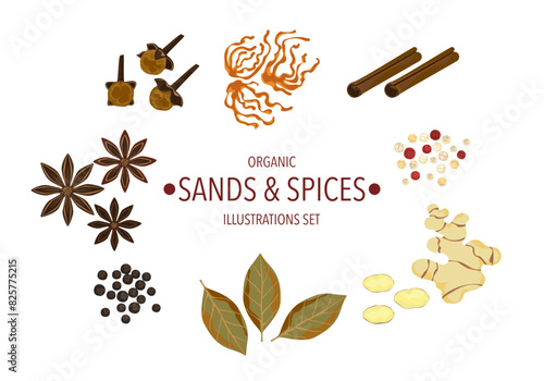 Selected spices herbs, and different spices in vintage style isolated on a white background, vector illustration.