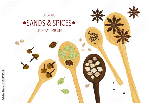 Selected herbs, spices, and different spices on a wooden spoon In vintage style isolated on a white background, vector illustration.