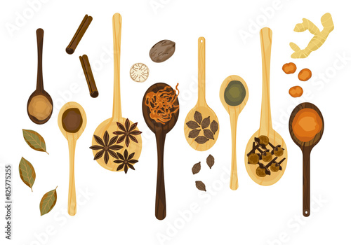 Selected herbs, spices, and different spices on a wooden spoon In vintage style isolated on a white background, vector illustration.