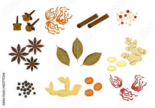 Selected spices, different spices
Clove, mace, cinnamon, mustard, anise star, bay leaves, ginger, black pepper, and turmeric in vintage style isolated on a white background, vector illustration.