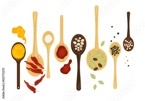 Selected herbs, spices, and different spices on a wooden spoon In vintage style isolated on a white background, vector illustration.