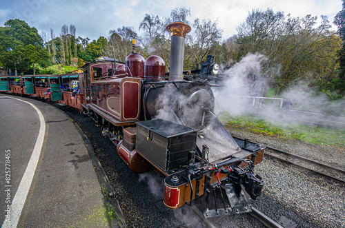  Steamy Puffing Billy At Station