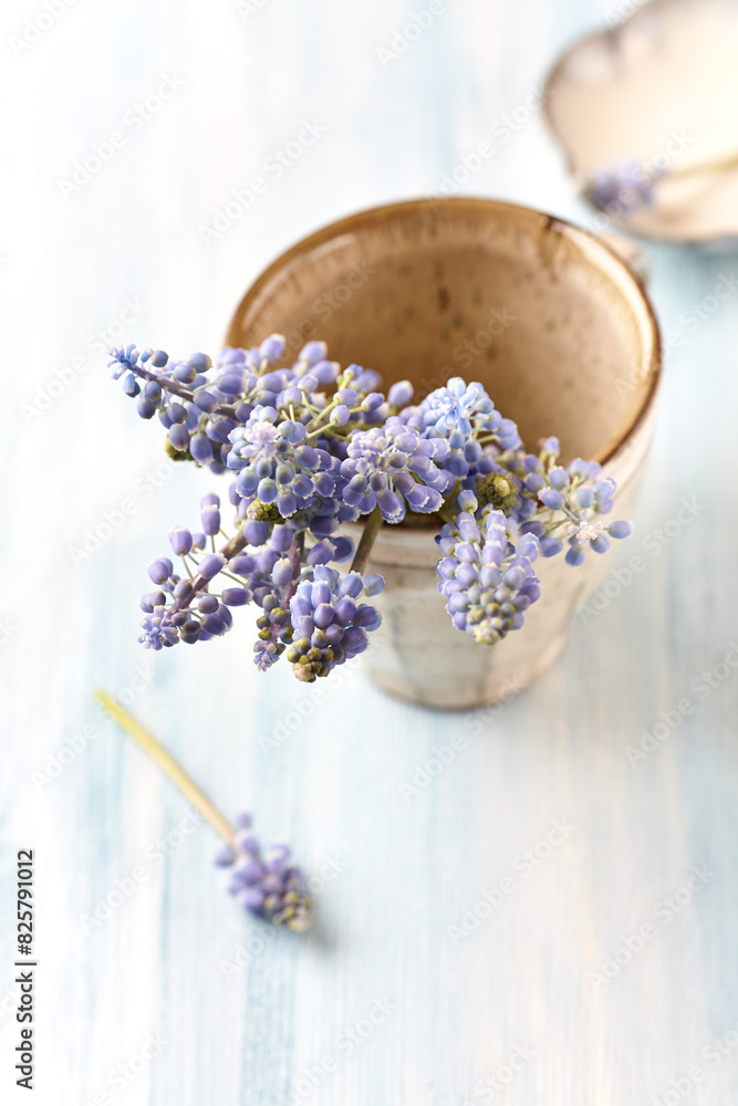 Purple flowers on bright wooden background. Close up. Copy space. Purple flowers on bright wooden background. Close up. Copy space.
