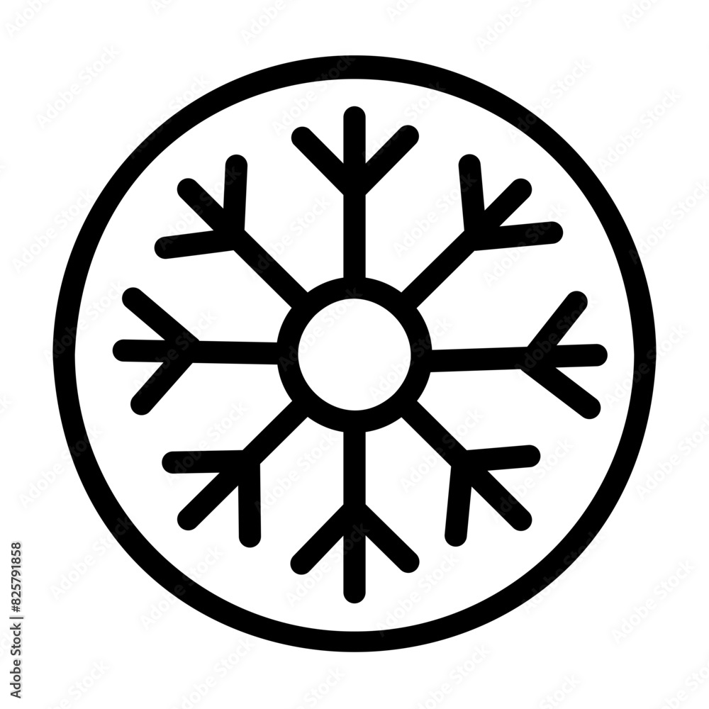 Obraz premium snowflake