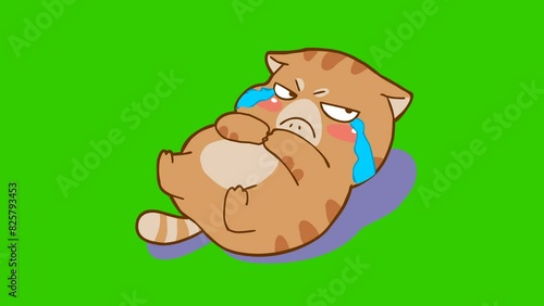 Animated Chubby Cat Pouting with Tears - Green Screen
