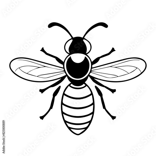 wasp vector design logo illustration for insect 