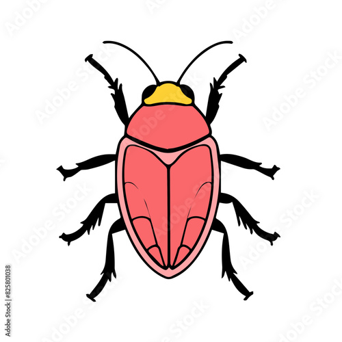 Cockroach vector design logo illustration for insect 