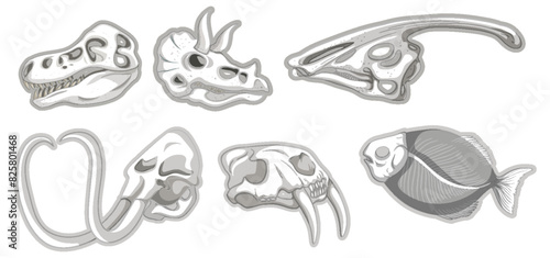 Vector illustrations of diverse animal skulls