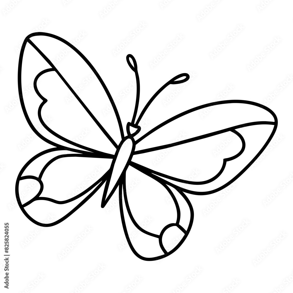 butterfly drawing outline on transparent background butterfly drawing outline on transparent background