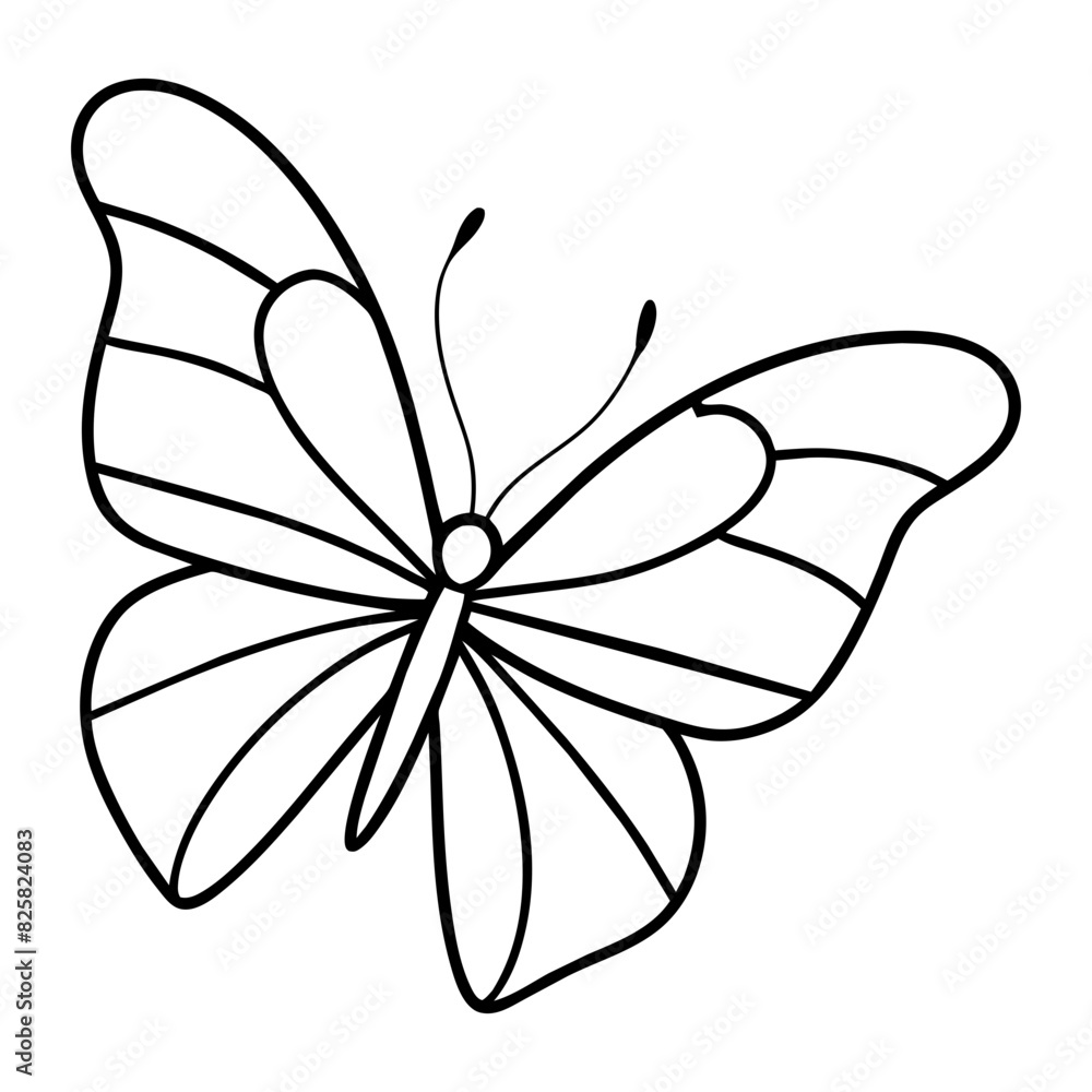 butterfly drawing outline on transparent background butterfly drawing outline on transparent background