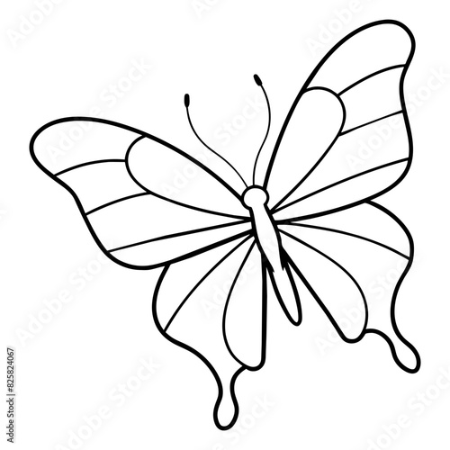 butterfly drawing outline on transparent background
