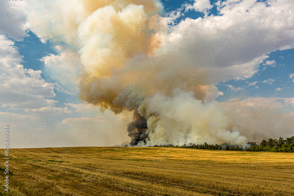 Large steppe fire in the fields of Orenburg, Russia. Smoke from a blaze in the steppe. Wildfire in summer. The grass and forest is burning. Disaster or accident of nature. Large steppe fire in the fields of Orenburg, Russia. Smoke from a blaze in the steppe. Wildfire in summer. The grass and forest is burning. Disaster or accident of nature.
