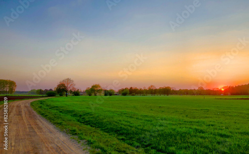 A peaceful and beautiful rural landscape at sunset with green fields and a dirt road  creating a serene scene