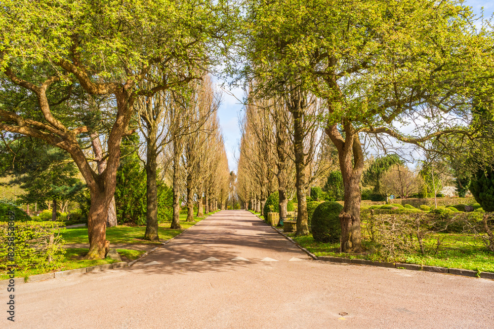 Bispebjerg Cemetery in Copenhagen, Denmark Bispebjerg Cemetery in Copenhagen, Denmark