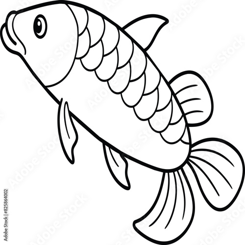 Arowana Fish Line Art Black White illustration vector