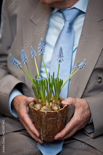 An elderly man lovingly tending to a potted plant with purple flowers, expressing his passion for gardening and nature