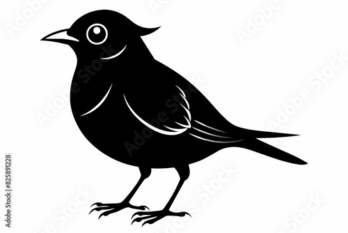  A lark bird silhouette black vector artwork illustration