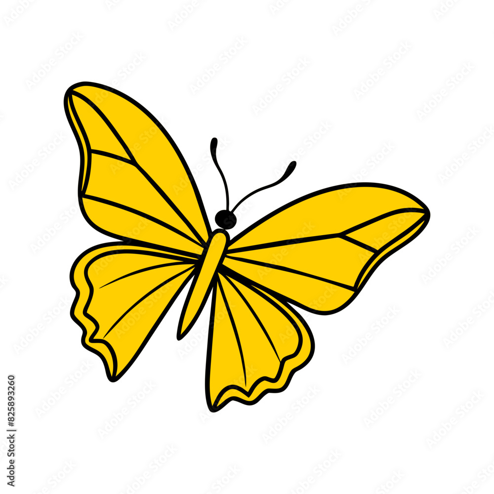 butterfly on white background butterfly on white background