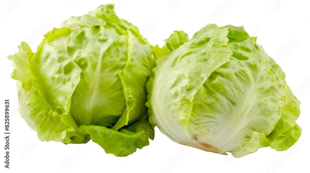 Two fresh lettuce heads placed on a simple white background Two fresh lettuce heads placed on a simple white background