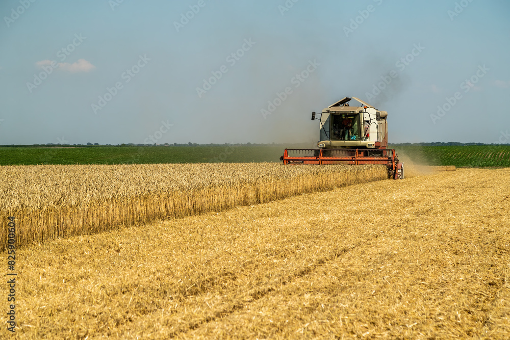 Naklejka premium Combine harvester at work on a wheat field under a clear blue sky