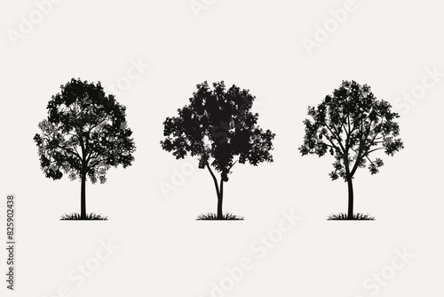 Silhouette tree set. Side view, set of graphic trees elements outline symbol for architecture and landscape design drawing. Vector illustration	