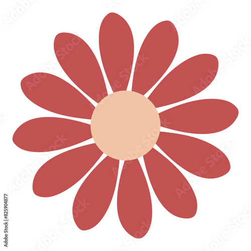 flower branch flower divider flower wreath flower Autumn branch ornament floral divider. element on transparent 
