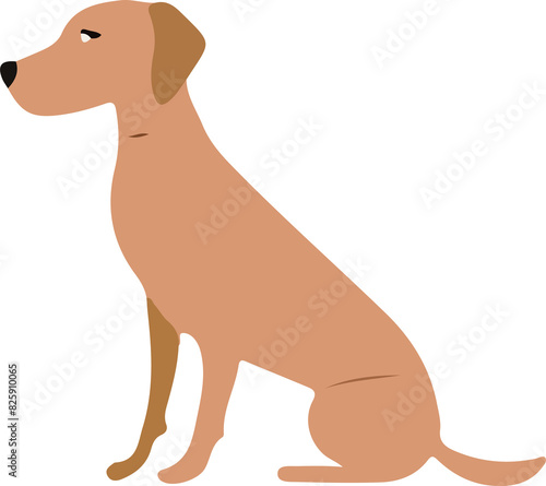 dog cartoon illustration vector