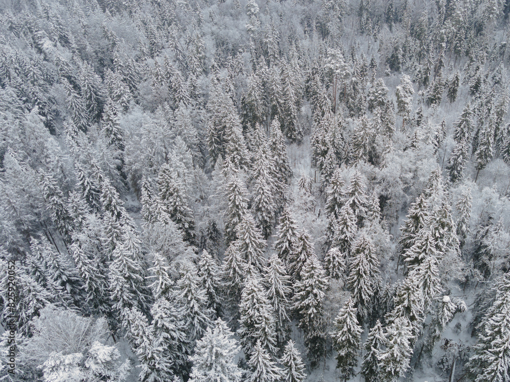 Natural winter landscape aerial drone top view.. Winter season weather. High quality photo Natural winter landscape aerial drone top view.. Winter season weather. High quality photo