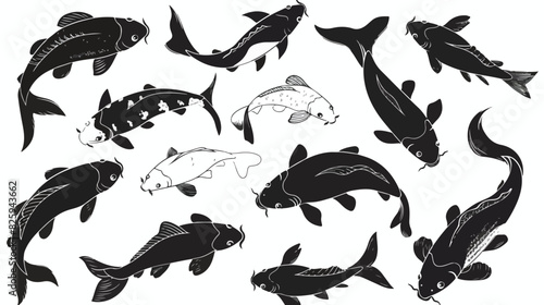 Koi fish silhouettes. Black and white swimming koi