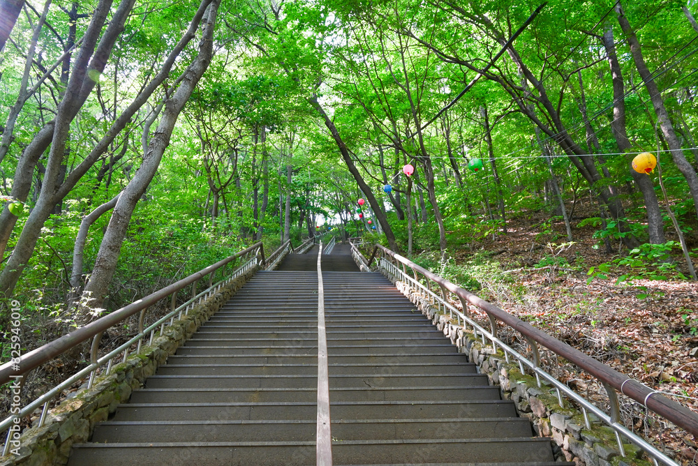 Obraz premium 南漢山城 登山道の階段（韓国）