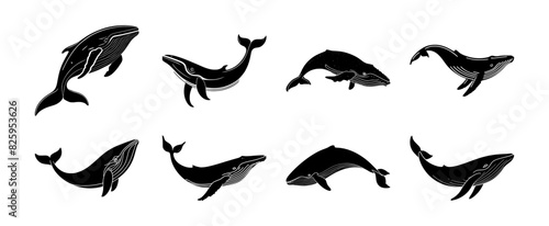 set of blue whale silhouettes, isolated background