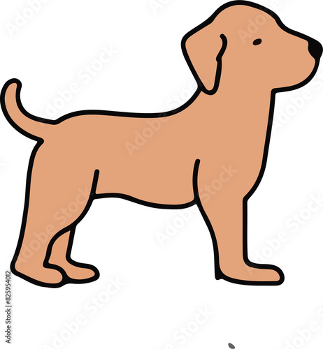 dog cartoon illustration vector