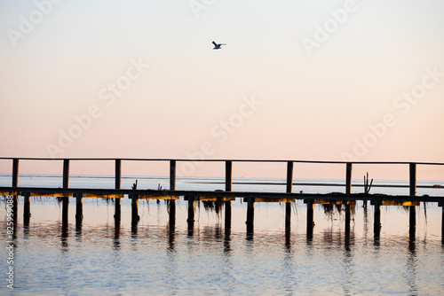 Sunset sea pier with seagull on sky and boat on background, Grado, Italy, Europe