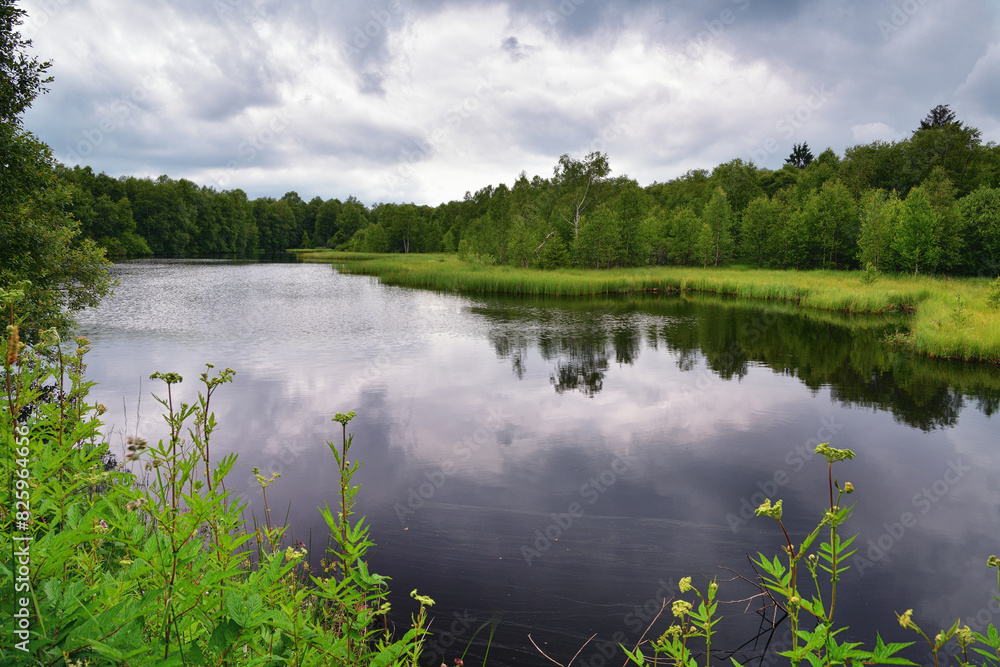 Rotes Moor in Hessen