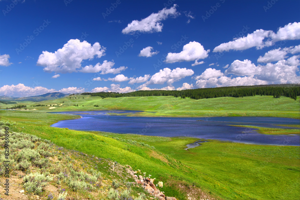 Fototapeta premium Yellowstone River Landscape Hayden Valley