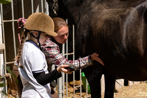 Adult and child examining dark horse at stable. (ID: 825973662)
