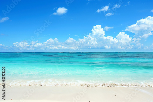 Sunlit Beach with Blue Sky and Ocean View