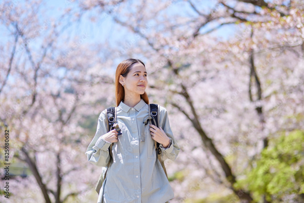春の桜とインバウンドバックパッカーの女性 春の桜とインバウンドバックパッカーの女性