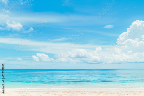 Sunlit Beach with Blue Sky and Ocean View