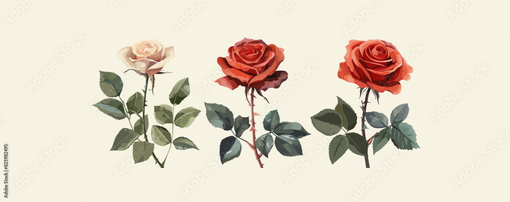 Rose flower set . vector simple illustration Rose flower set . vector simple illustration