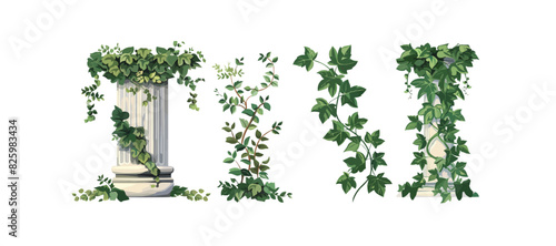 Ivy vines and wreaths, and a greek antique column entwined with ivy, elements isolated on white background. Vector illustration in flat cartoon style