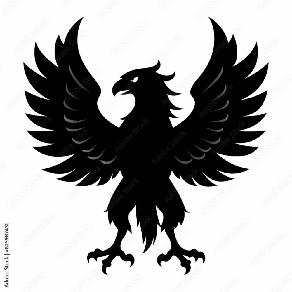 Obraz premium eagle with wings