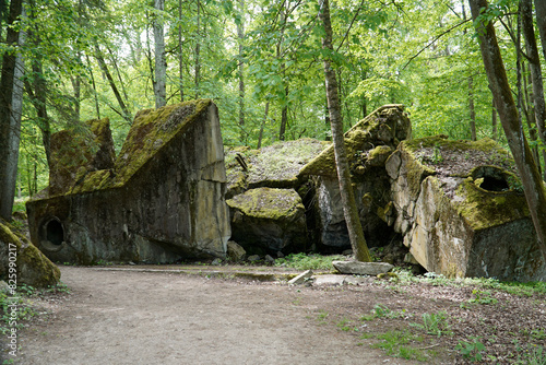 Ruins of a bunker in Wolf's Liar - Gierloz, Poland