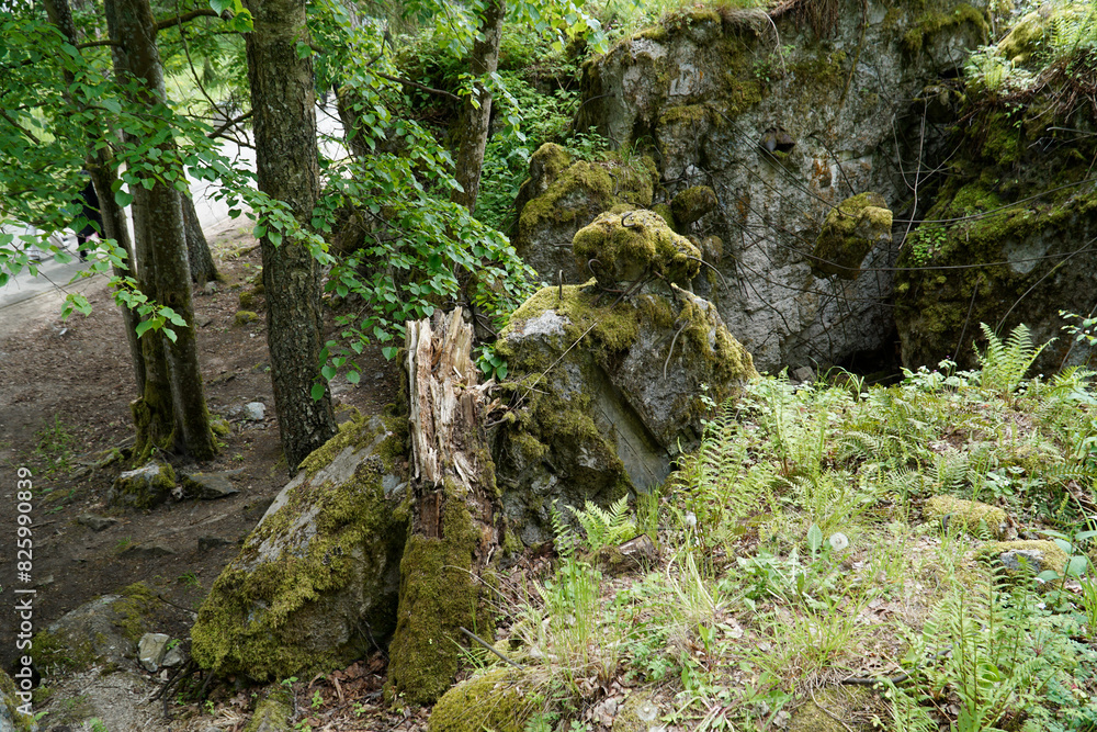 Ruins of a bunker in Wolf's Liar - Gierloz, Poland Ruins of a bunker in Wolf's Liar - Gierloz, Poland